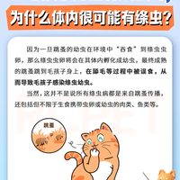 有跳蚤=大概率有绦虫，别只给毛孩子做外驱