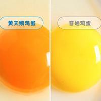 黄天鹅鸡蛋检出角黄素？揭秘蛋黄颜色背后的科学真相