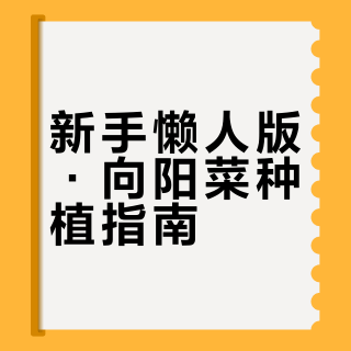 新手懒人版·向阳菜种植指南