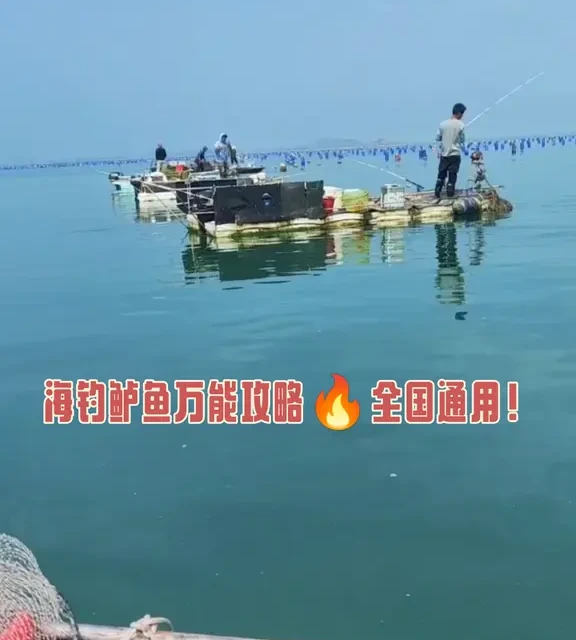 海钓鲈鱼全攻略：从习性解析到实战技巧详解