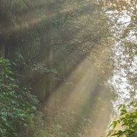 爬坡登顶，甩掉冬日懒散