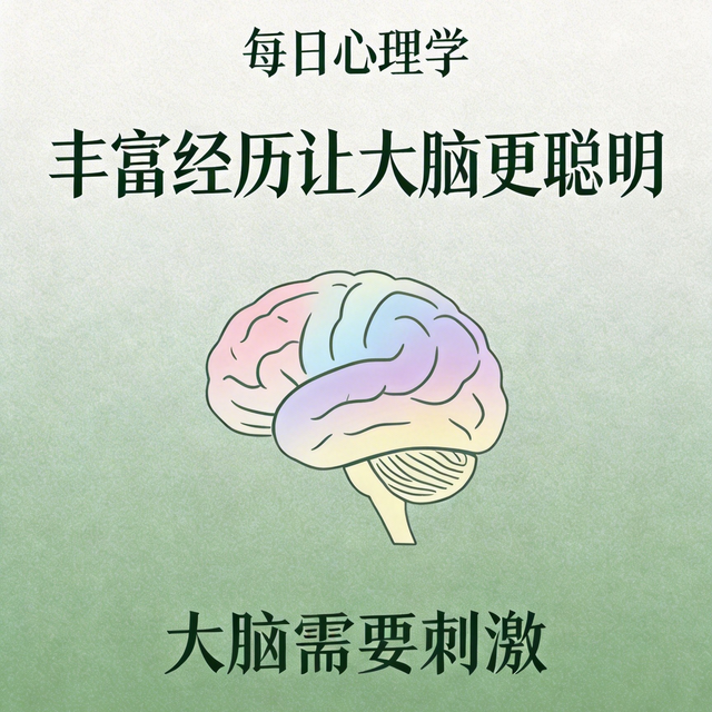 大脑可塑性：丰富的环境让大脑更聪明