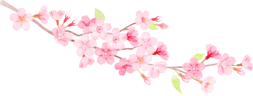 赴一场花事浪漫！桃花盛开季路线推荐别错过