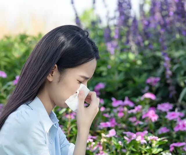 过敏性鼻炎总反复？中医体质调治，从根上减少困扰