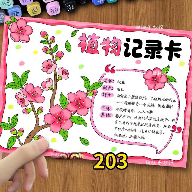 桃花植物名片记录卡手抄报电子版203