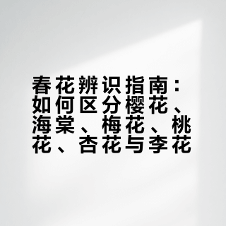 终于能分清楚樱花海棠梅花桃花杏花李花了
