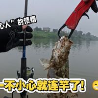 泥鳅打窝我是不敢，但是蹭窝…我在行！