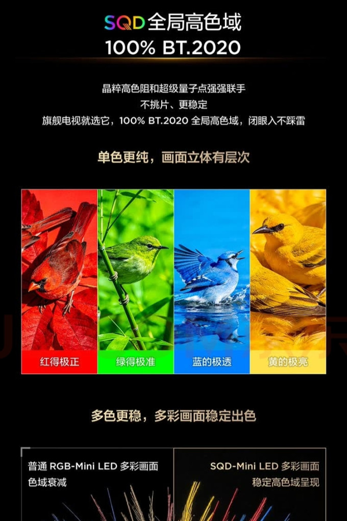 雷鸟电视