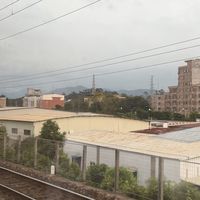 楼道声控灯