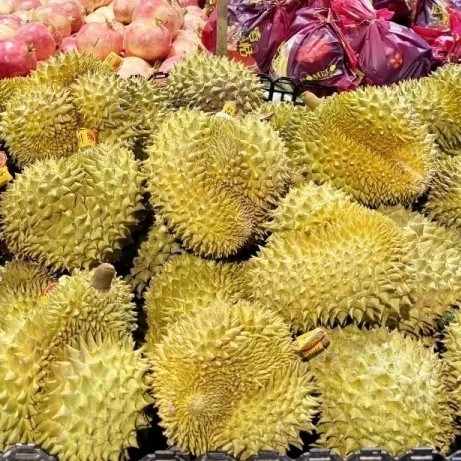 挑榴莲不踩坑，这几招让你次次选到报恩果