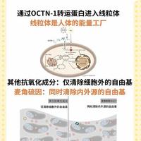 麦角硫因抗衰老机制与核心优势解析