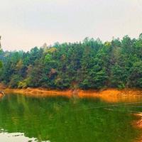 野钓商用级饵料系统：从三角基石到零失败配方