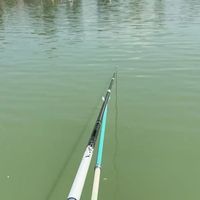 清明前后钓鱼，你的鱼竿长度用对了吗？90%钓友都搞反了！