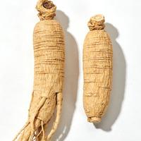 人参与西洋参的区别及服用指南