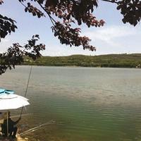 低成本高效果：两款实战级鱼饵配方解析