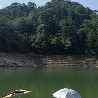 低成本野钓通杀饵料解析：三款配方与实战应用