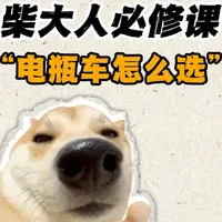 电动自行车选购指南：新国标合规标准与核心部件解析