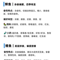 新手必看 | 不同鱼喜欢什么味型的饵料