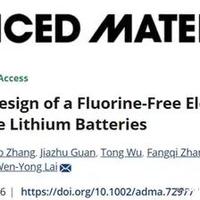 无氟电解液的弹性桥接设计实现高性能锂电池