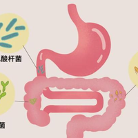 便秘吃益生菌没用？你可能选错了菌株和活菌量