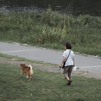 72岁以后，别被“早睡万能论”绑架：高质量睡眠的4个关键调整