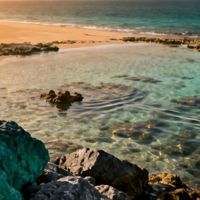 新手海钓总空军？闭眼入这份保姆级选点指南，精准锁定鱼群不空竿