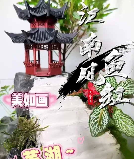 低成本江南园林鱼缸造景全流程解析