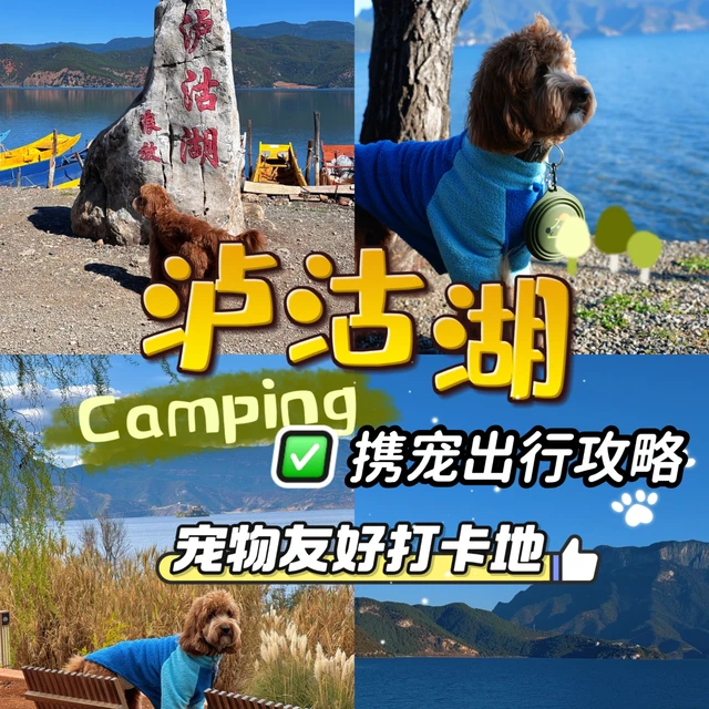 泸沽湖｜带上小狗坐猪槽船🚢（避坑指南）