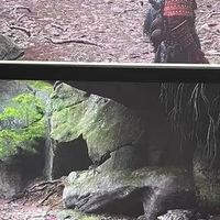 春日换季理性消费指南