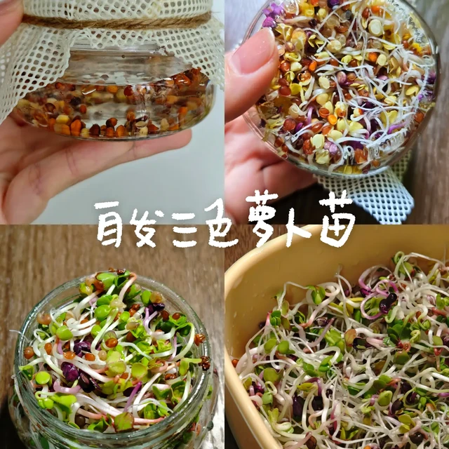 🌱 只要7天，春天就在厨房里发芽了