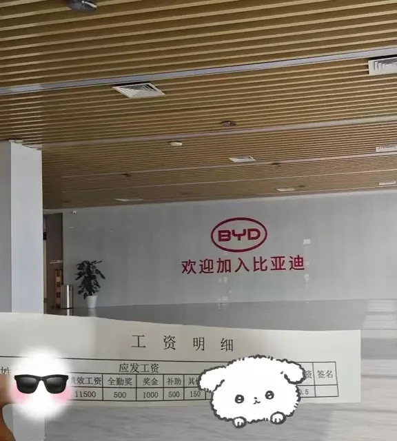 要从比亚迪离职了，透底说点儿你们不知道的