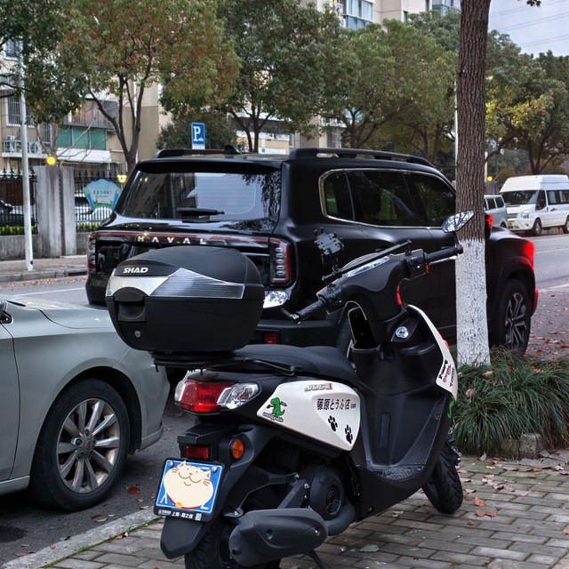 又是宠幸小摩托的季节