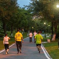 科学走路护膝指南：姿势、习惯与禁忌全解析