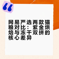 🐈‍⬛🥩两款网易猫粮如何选择？