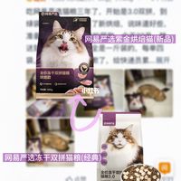 软便小猫实测|网易新品猫粮升级了什么