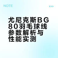 每天认识一根羽毛球线- BG80