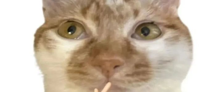 要基于PyTorch做深度学习，是先学PyTorch还是深度学习？