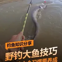 野钓巨物进阶指南：六大核心习惯与实战策略