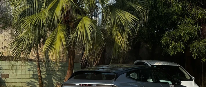 合资还是被国产按着打吗？