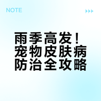 雨季潮湿，做这4件事让宠物远离皮肤病👏