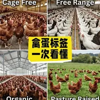 高价禽蛋是智商税吗？🐓鸡肉标签里的猫腻