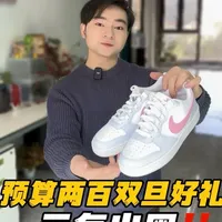 Nike Court粉蓝配色款详解：外观、尺码与实战体验