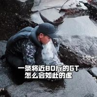 一条将近80斤的GT，怎么会如此的虚，三分钟就被钓上来了