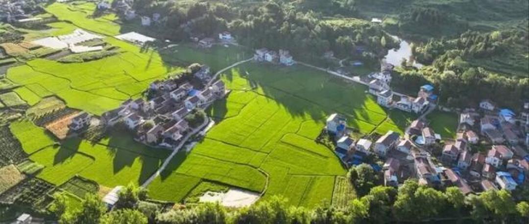 世界冠军为报一饭之恩,把家乡滞销红糖卖到断货