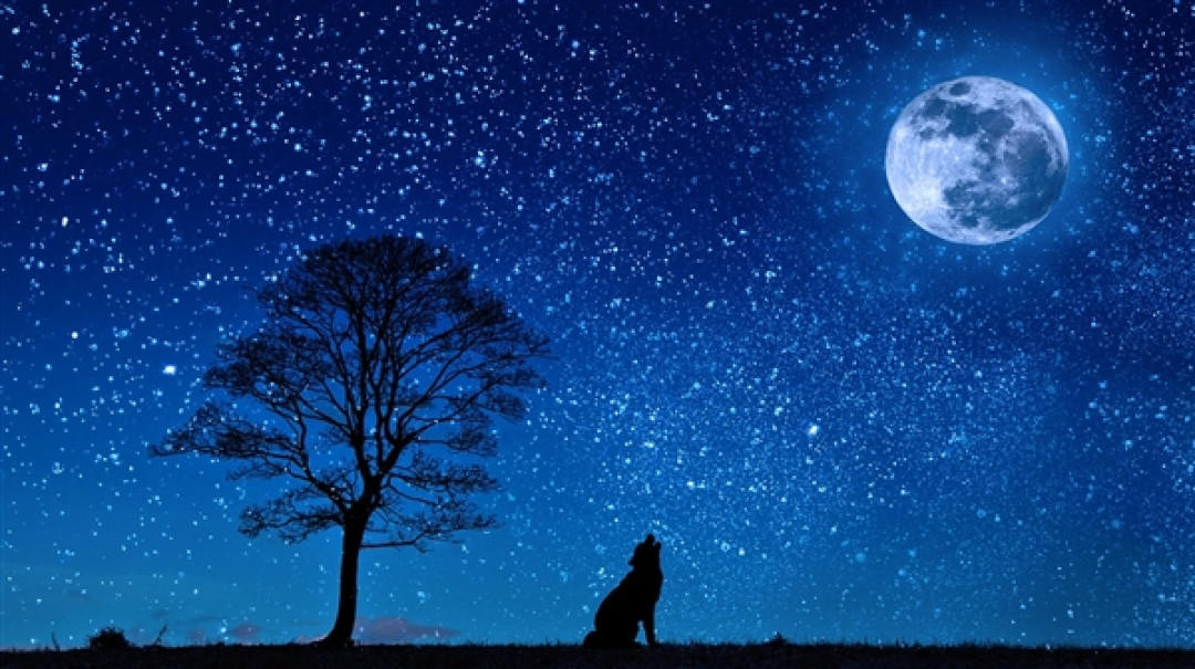 人类并非宇宙中唯一文明！美国航天局局长：外星人存在几率相当高