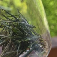 且将新火试新茶，26年徽六黄山毛峰