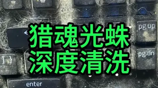 雷蛇猎魂光蛛精英版拆解清洗与维修实录