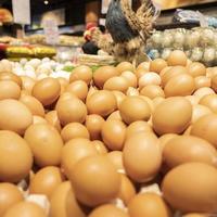 鸡蛋价格为何快速上涨？市场背后的四大关键变化与应对策略