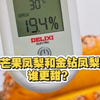 芒果凤梨和金钻凤梨谁更甜？大凤梨一定比小凤梨甜吗？书接上回，咱们继续测！
