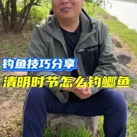 清明时节怎么钓鲫鱼